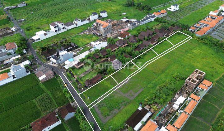 Tanah Kavling Villa Dengan View Sawah Dan Dekat Pantai 1