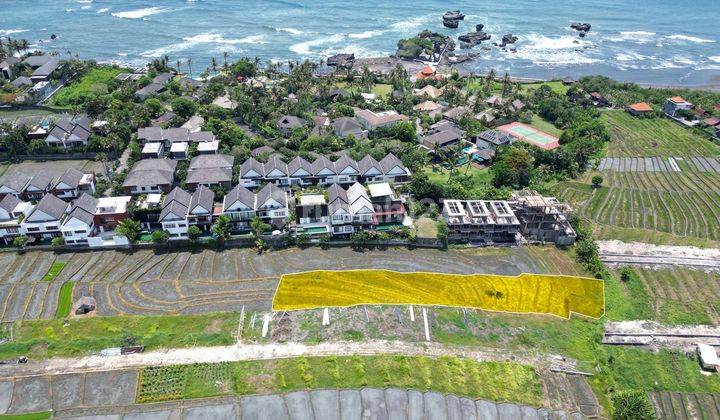 Tanah Dijual Cocok Untuk Investasi Dibali Harga Termurah Aspek Pariwisata 1