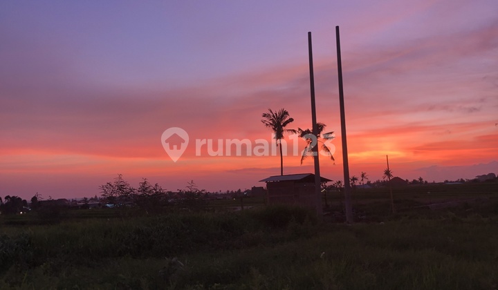 Tanah di Pererenan Canggu Siap Bangun View Sunset Tanah di Pererenan Canggu Siap Bangun View Sunset
