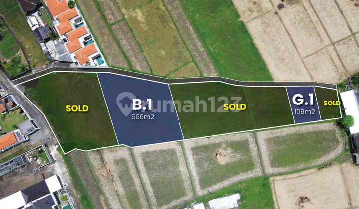 Direct Owner, Ready-to-Occupy Land Area, Villa with Rice Field View Near Cemagi