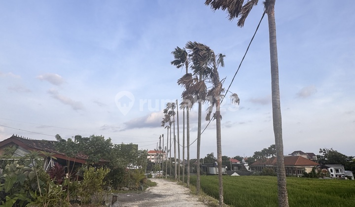 Small Land with Rice Field and Sunset View in Canggu