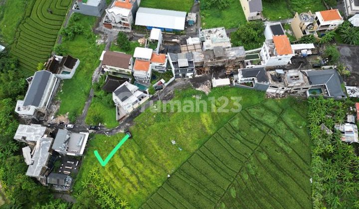For Sale, Pererenan Sempol Land Near Canggu Tourist Center For Sale, Pererenan Sempol Land Near Canggu Tourist Center