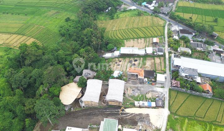 Tanan Premium Canggu Dekat Luna Beachclub Tanan Premium Canggu Dekat Luna Beachclub