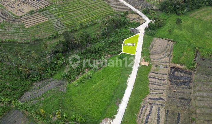 Tanah Murah Pererenan Dijual Buc View Sawah