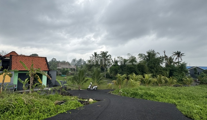 Land for Sale in Buduk Area, Flood-Free Zone, Wide Road Land for Sale in Buduk Area, Flood-Free Zone, Wide Road