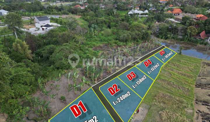 Tanah Kavling Babakan Canggu View Sawah Dan Sunset
