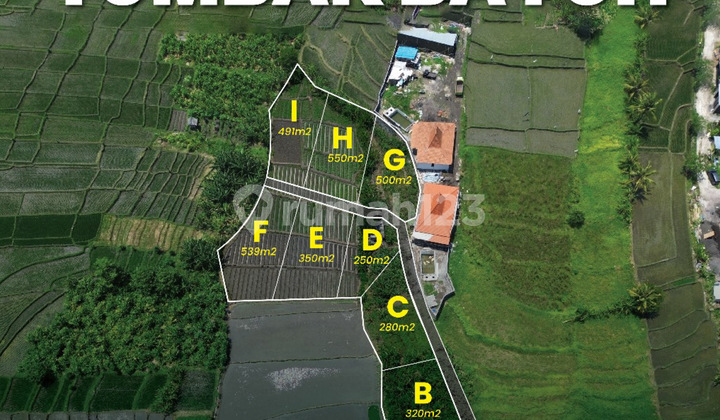 Tanah Murah Tumbakbayuh View Sawah Kawasan Villa Tanah Murah Tumbakbayuh View Sawah Kawasan Villa
