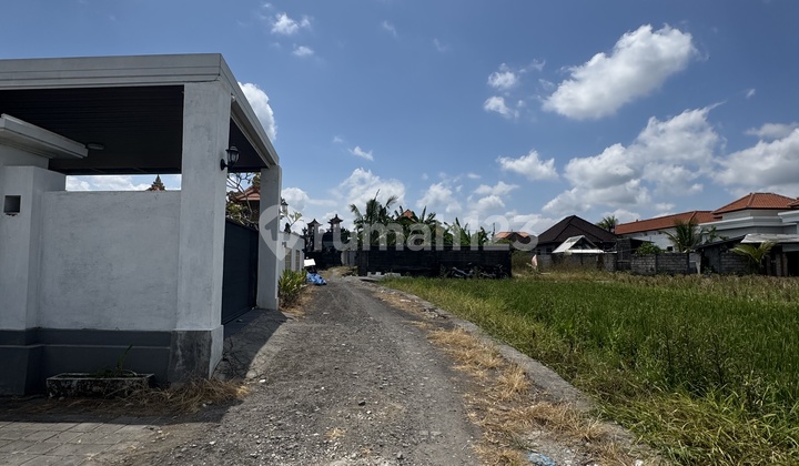 Tanah Siap Huni Area Villa Direct Owner View Sawah Dekat Cemagi