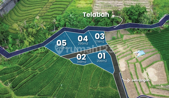 Tanah Kavling Shm Di Munggu - Investasi Strategis Dekat Canggu Tanah Kavling Shm Di Munggu - Investasi Strategis Dekat Canggu