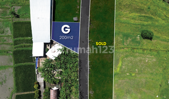 Tanah 2 Are Ready Shm Area Cica Buduk Munggu