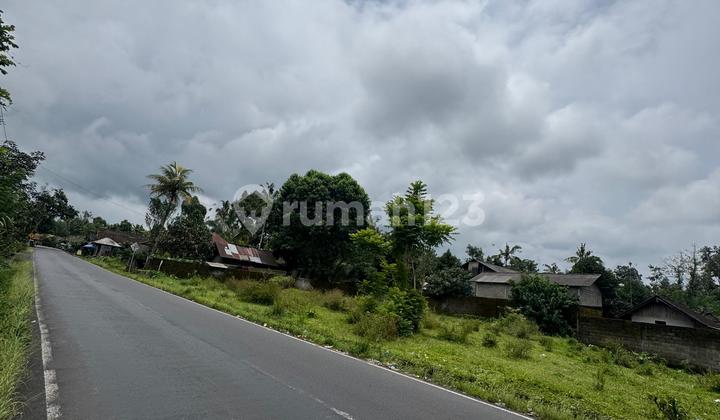 Tanah Pinggir Jalan Raya Utama Menuju Pura Besakih Tanah Pinggir Jalan Raya Utama Menuju Pura Besakih