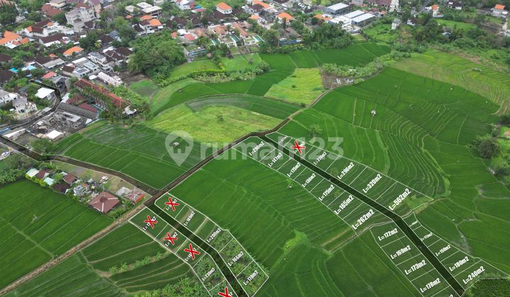 Tanah Hook Di Pusat Canggu Luas Kecil Direct Owner View Sawah Tanah Hook Di Pusat Canggu Luas Kecil Direct Owner View Sawah