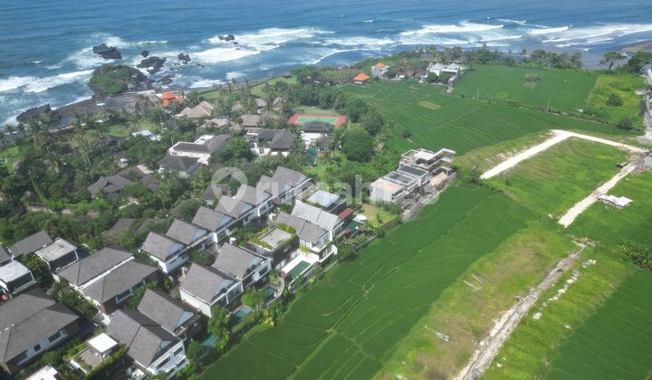 Tanah Dijual Cemagi View Pantai Cemagi dan Sawah Tanah Dijual Cemagi View Pantai Cemagi dan Sawah