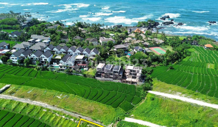 Tanah Dijual Cemagi View Pantai Cemagi dan Sawah Tanah Dijual Cemagi View Pantai Cemagi dan Sawah
