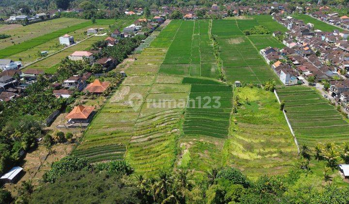 Tanah di Jl. Pura Dalem, Kec. Kediri, Kabupaten Tabanan, Bali, Pandakgede SHM 100.0 m² 2