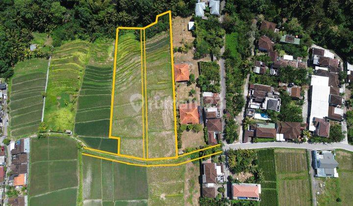 Tanah di Jl. Pura Dalem, Kec. Kediri, Kabupaten Tabanan, Bali, Pandakgede SHM 100.0 m² 1
