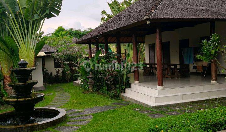 Disewakan Villa Area Canggu Bisa Harian N Bulanan 2