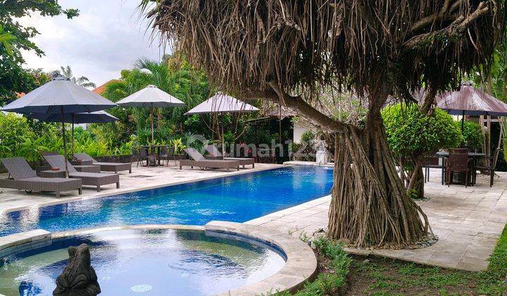 Disewakan Villa Area Canggu Bisa Harian N Bulanan 1