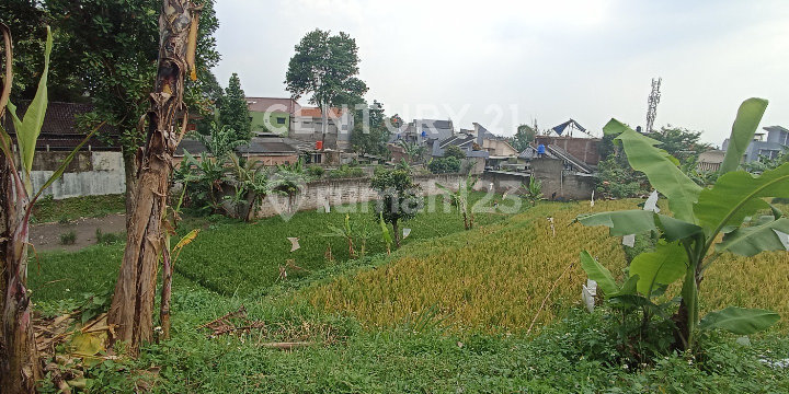 Tanah Super Luas Strategis di Sawah Aruman Pesantren Bandung