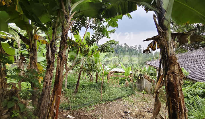 Tanah Bentuk Downslope View Gold di Dago Cigadung Bandung Tanah Bentuk Downslope View Gold di Dago Cigadung Bandung