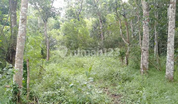 Tanah Luas di Soekarno Hatta Bandung Tanah Luas di Soekarno Hatta Bandung