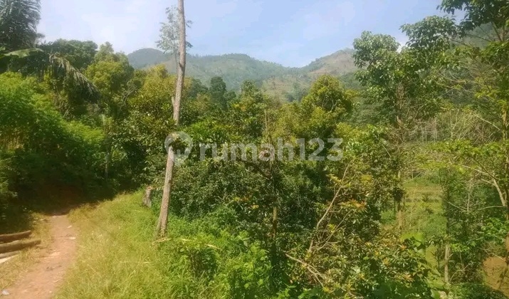 Tanah Luas Lokasi Cimaung Banjaran