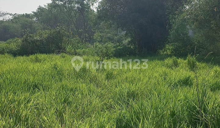 Vacant Land Lease 2 Ha on Moh Toha Road, Industrial and Warehouse Area, Suitable for Heavy Equipment Warehousing, Suitable for Large Truck Parking and Bus Parking Vacant Land Lease 2 Ha on Moh Toha Road, Industrial and Warehouse Area, Suitable for Heavy Equipment Warehousing, Suitable for Large Truck Parking and Bus Parking