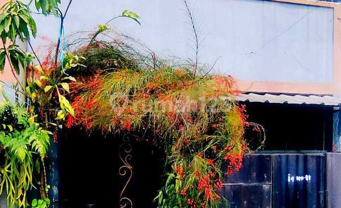 Rumah Bagus 2 Lantai 340Jt bisa Nego Siap Huni Lokasi di Pusat Kota Rumah Bagus 2 Lantai 340Jt bisa Nego Siap Huni Lokasi di Pusat Kota