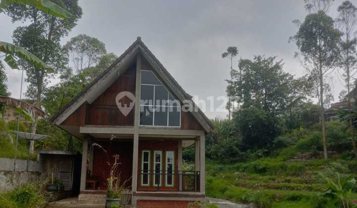 Villa Pedesaan dengan View Sungai & Alam Terbuka Villa Pedesaan dengan View Sungai & Alam Terbuka