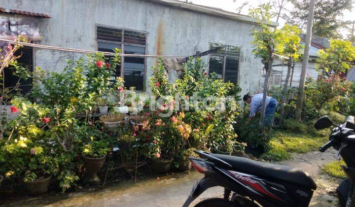 Tanah + Bangunan 2