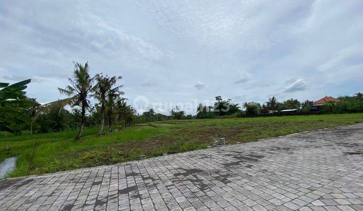 Tanah Kavling Ekslusive Harga Ekonomis View Sawah Di Jalan Pantai Yeh Gangga Gubug, Tabanan 1