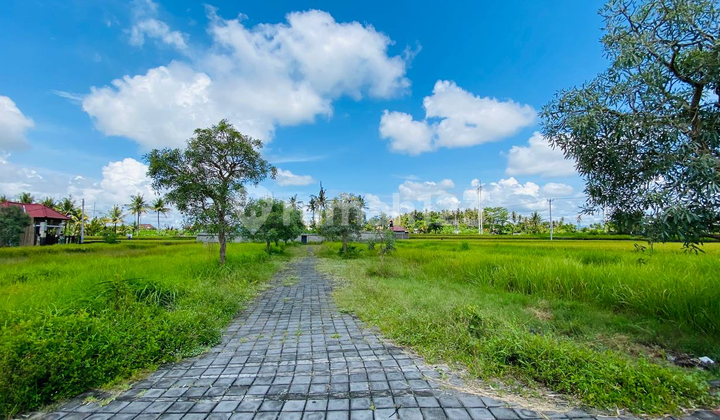 Tanah Kavling Lingkungan Asri Di Pering Batubulan  1