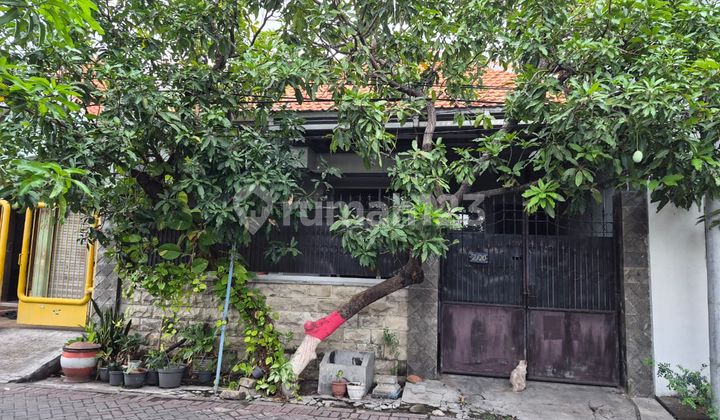 Rumah Murah Dekat Kampus 2
