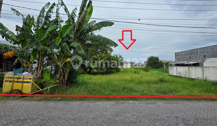 Jual Tanah Luasmurah Dimenganti Surabaya Jual Tanah Luasmurah Dimenganti Surabaya