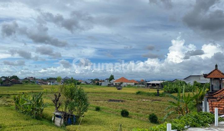 Luxury Villa with Pool in Tumbak Buyuh Mengwi Area 2 Bedrooms