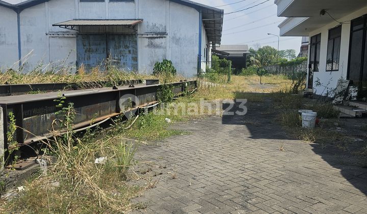 Prime Location Ready-to-Live Warehouse on Bypass Main Road Prime Location Ready-to-Live Warehouse on Bypass Main Road