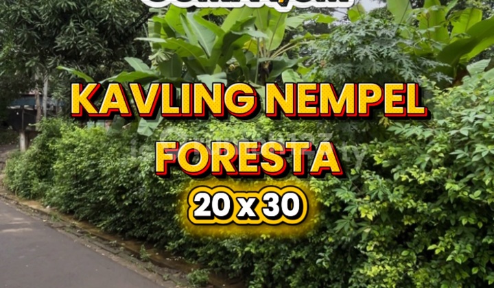 Tanah Murah Nempel Foresta BSD, Cocok untuk Kostan