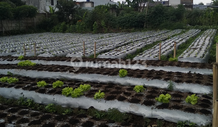 For Sale Tanah Luas di Parongpong - Lebar Jalan 2 Mobil