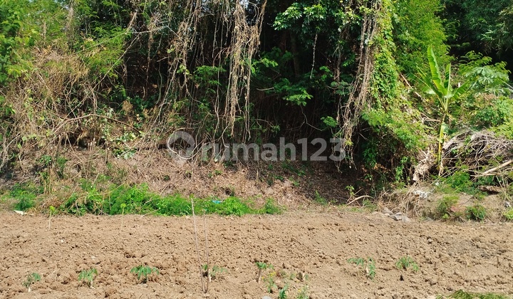 Land 500 m² in the ITB PPR Complex – Exclusive & Strategic Location!