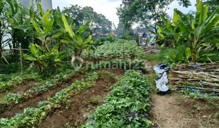 For Sale Tanah di Gandasari - SHM For Sale Tanah di Gandasari - SHM