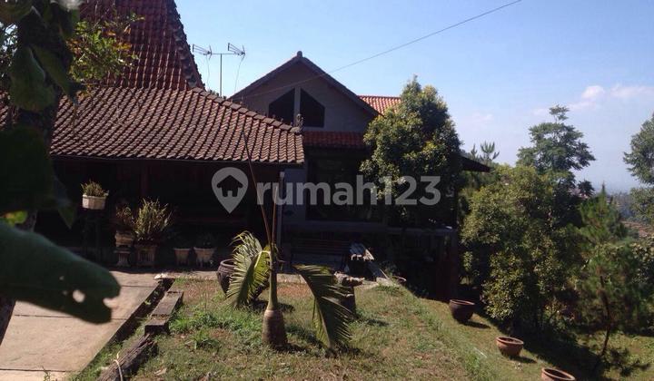 For Sale Rumah Joglo Mewah di Padasuka – Luas 3.978 m²! 2