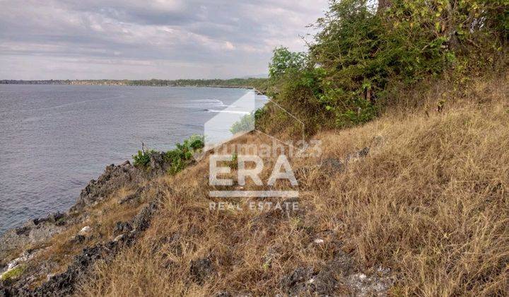 DIJUAL TANAH KOMERSIAL PINGGIR PANTAI WEE WELLA 1