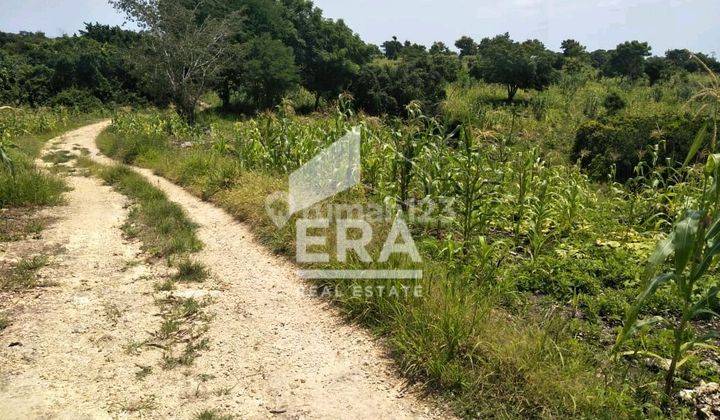 Tanah di daerah wisata dijual 1