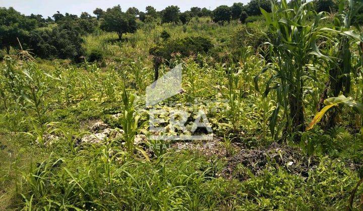 Tanah di daerah wisata dijual 2