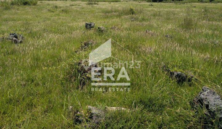 Dijual Tanah Komersial Pinggir Pantai 1