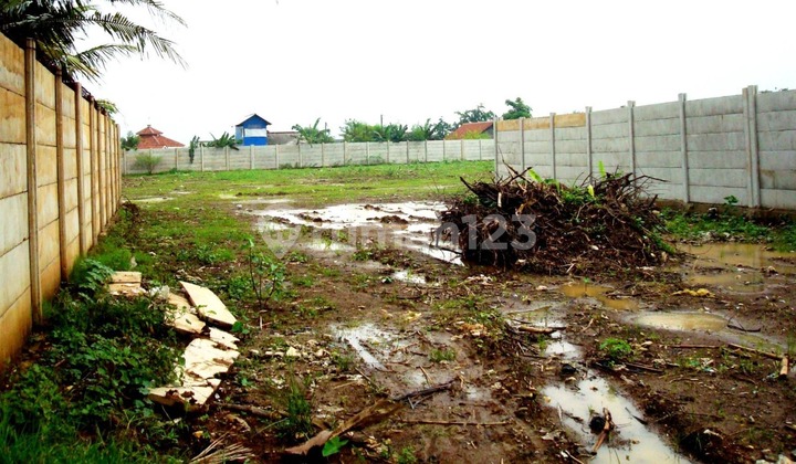 Tanah 9028 m2 SHM Marunda, Jakarta Utara Tanah 9028 m2 SHM Marunda, Jakarta Utara