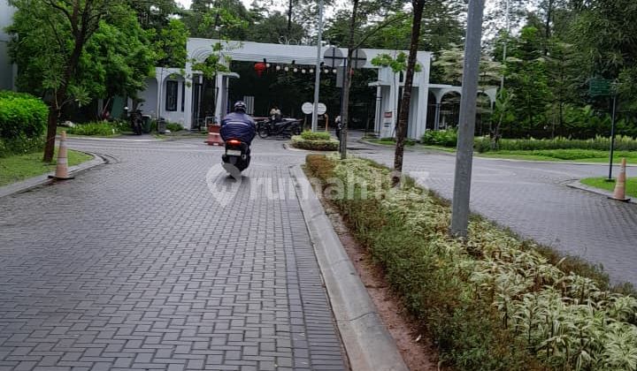 Disewakan Rumah Greenwich, BSD