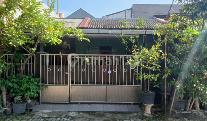 Termurah Rumah Siap Huni Di Deltasari Waru Sidoarjo Dekatbandara Juanda Cito Mall Rs Mitra Keluarga Termurah Rumah Siap Huni Di Deltasari Waru Sidoarjo Dekatbandara Juanda Cito Mall Rs Mitra Keluarga