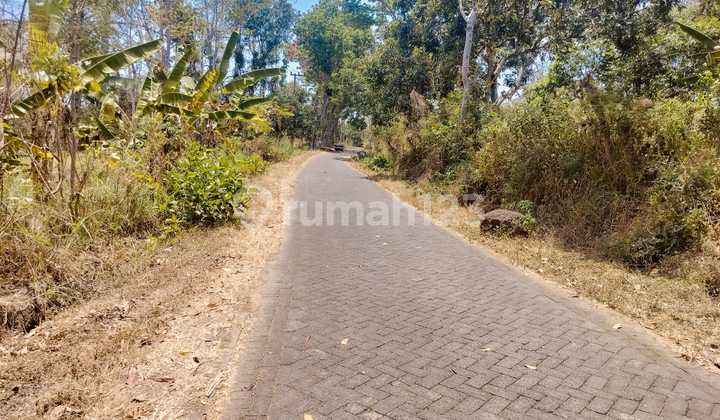 Dijual Cepat Tanah Shm Lebih Dari 8000m2 Ada Kebun Mangga Dekat Jalan Utama Dan Agrowisata Bhakti Alam