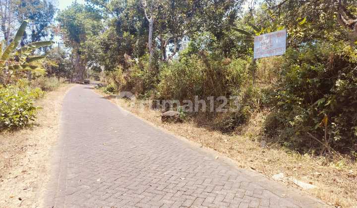 For Quick Sale: Freehold Land Over 8000m2 with Mango Orchard Near Main Road and Bhakti Alam Agrotourism. For Quick Sale: Freehold Land Over 8000m2 with Mango Orchard Near Main Road and Bhakti Alam Agrotourism.